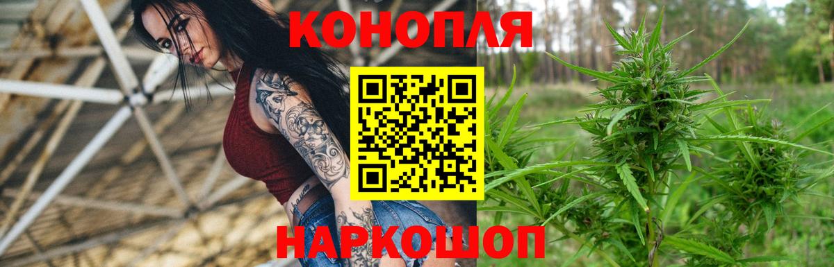 Бошки марихуана конопля Гагарин
